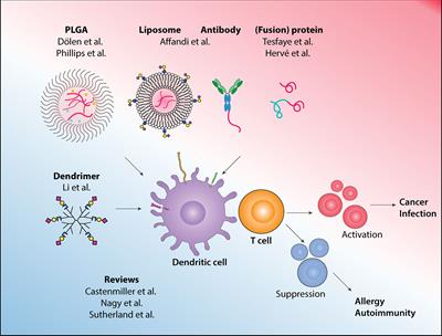 Editorial: Novel Platform for Antigen Delivery to Dendritic Cells for Immunotherapy